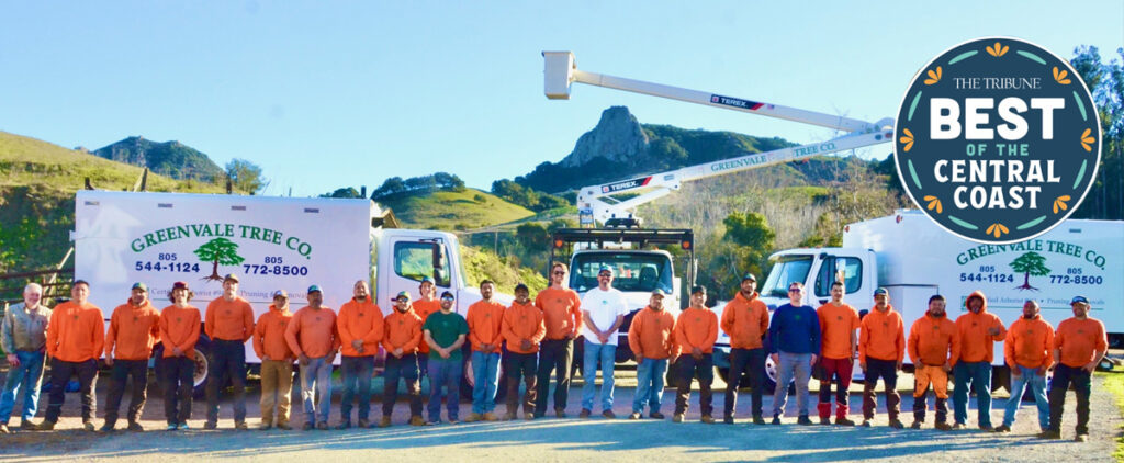 Greenvale Tree Company Best of 2026