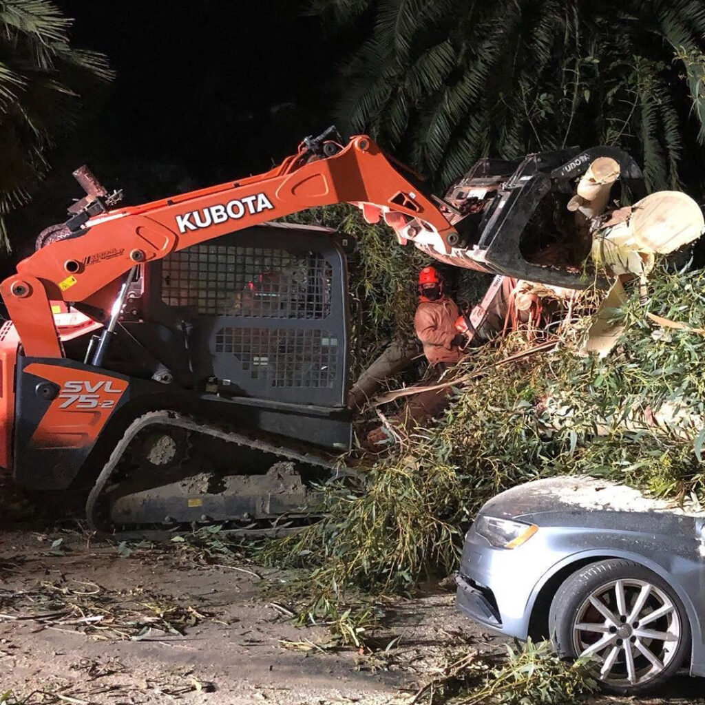 Greenvale Tree Company Emergency Tree Services