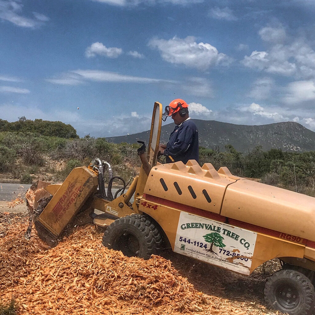 Greenvale Tree Company Stump Grinding