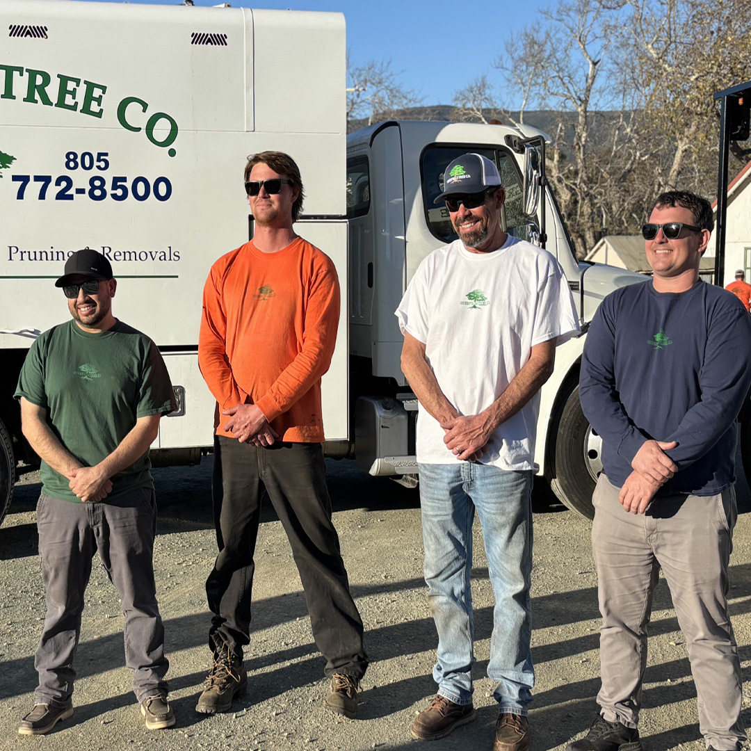 Greenvale Sales Team