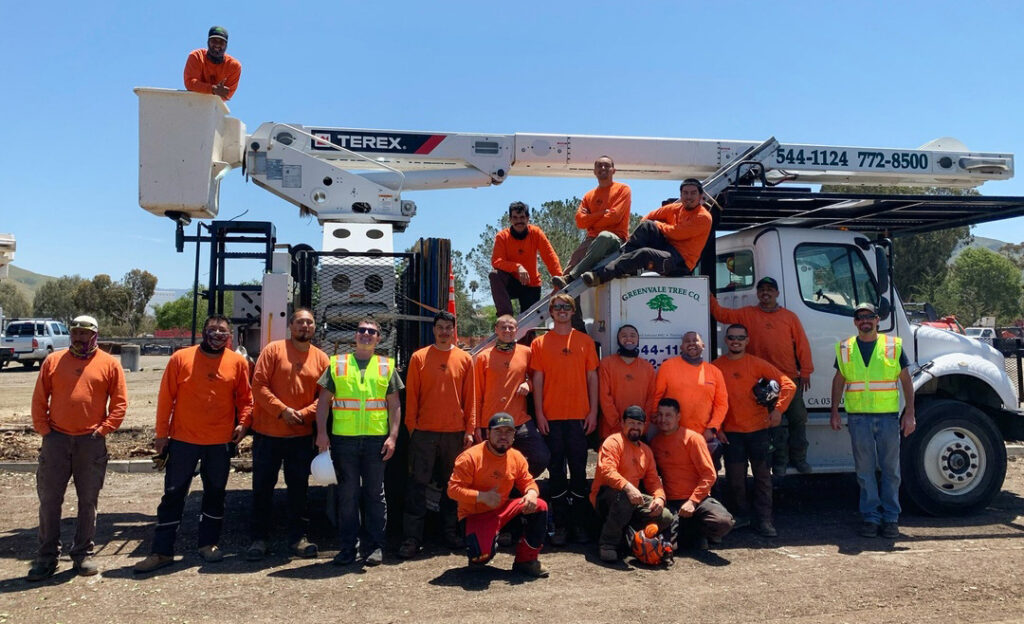Greenvale Tree Company Team