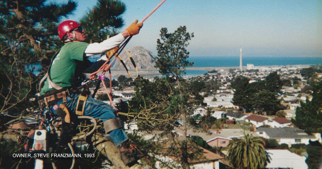 Greenvale Tree Company