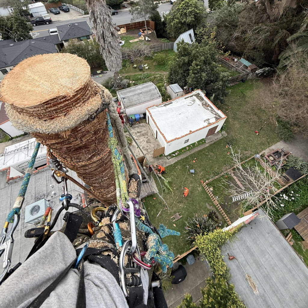 Greenvale Tree Company