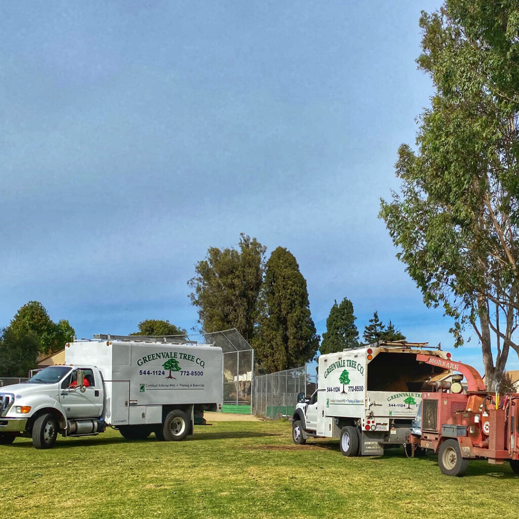 Greenvale Tree Company SLO County