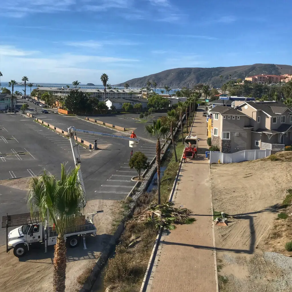 Greenvale Tree Services South County