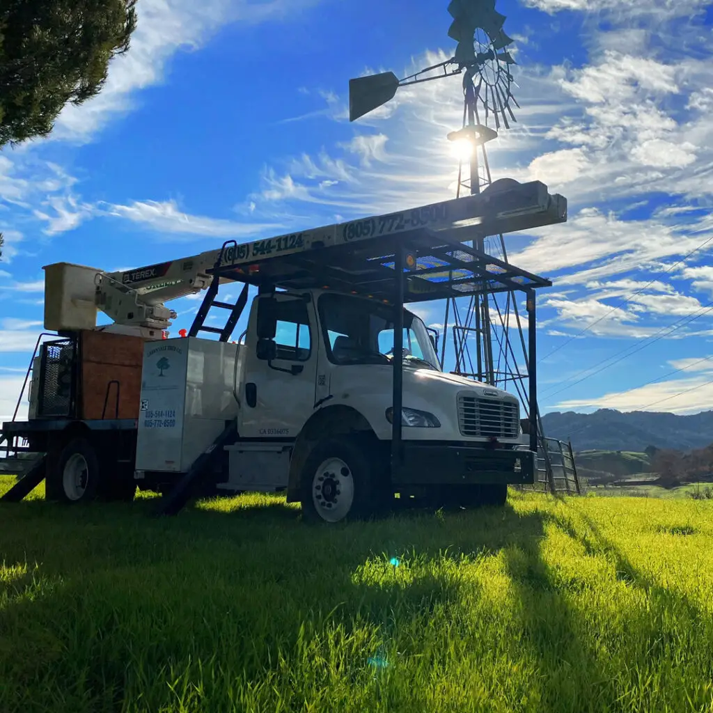 Greenvale Tree Services North Santa Barbara County